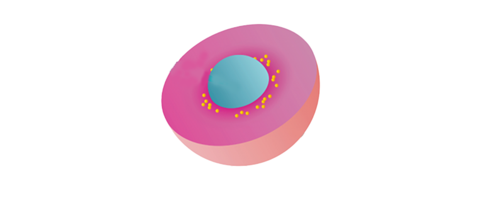 Imaginea ilustrează tehnologia Sucrosoma® care îmbunătățește absorbția magneziului în suplimentele UltraMag®. Centrul albastru reprezintă magneziul, înconjurat de un înveliș roz gastrorezistent. Punctele galbene accentuează accelerarea absorbției.