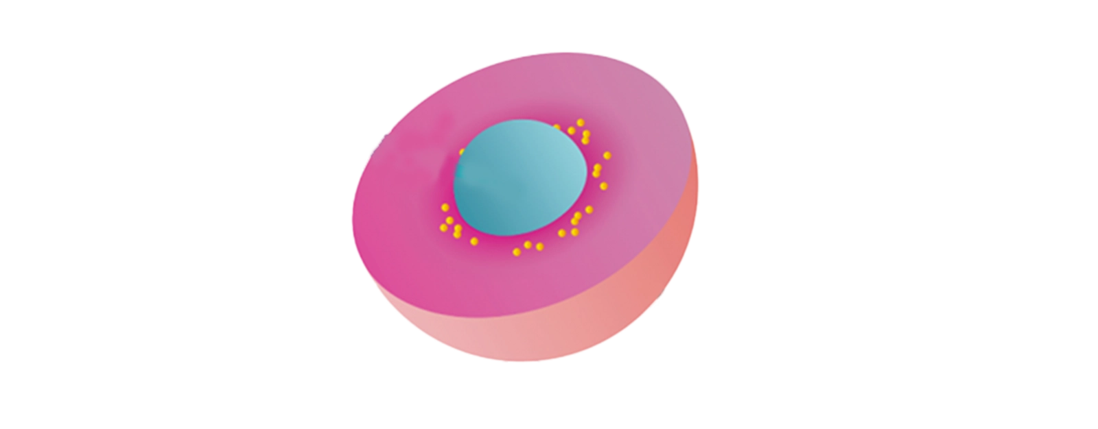 Imaginea ilustrează tehnologia Sucrosoma® care îmbunătățește absorbția magneziului în suplimentele UltraMag®. Centrul albastru reprezintă magneziul, înconjurat de un înveliș roz gastrorezistent. Punctele galbene accentuează accelerarea absorbției.